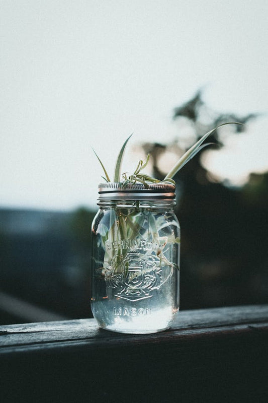 Creative Ways to Repurpose Everyday Items for Home Organization